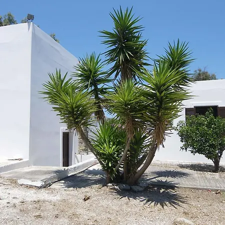 Alkionides Naousa (Paros)