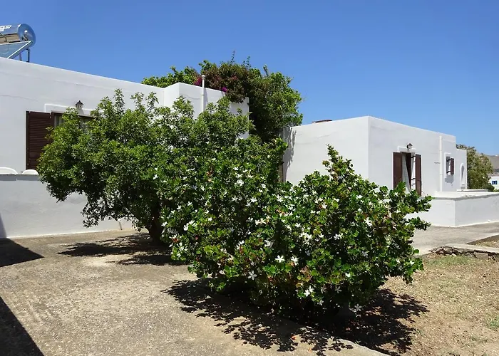 Alkionides * Naousa (Paros)