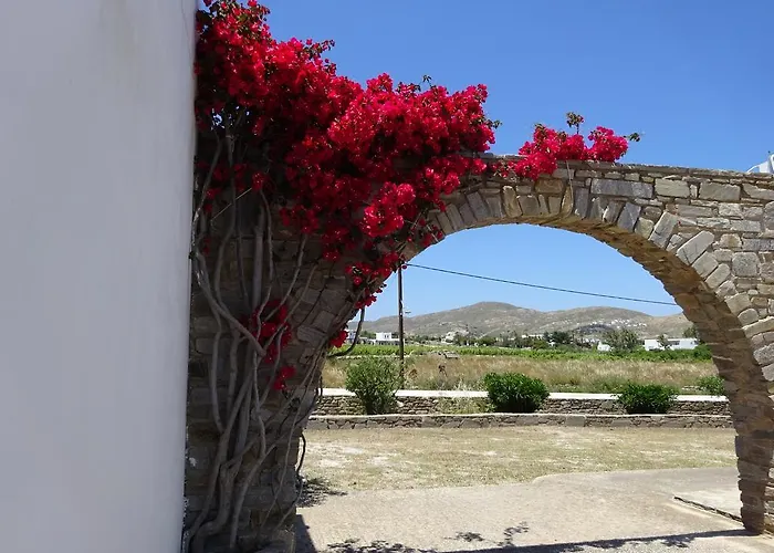 Apartment Alkionides *