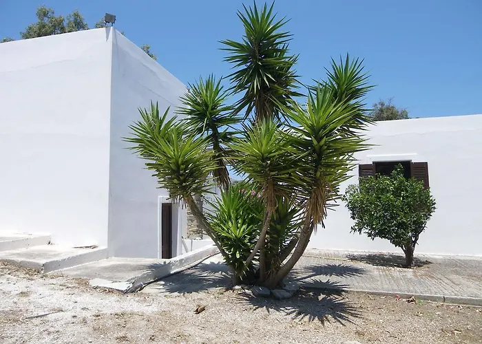 Alkionides Naousa (Paros)
