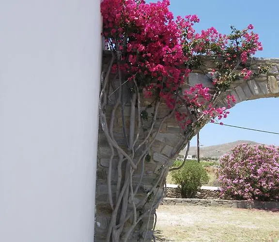 Alkionides Naousa (Paros)