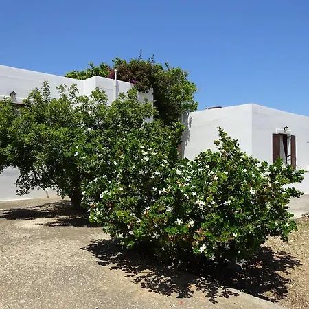 Alkionides * Naousa (Paros)