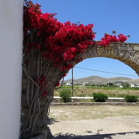 Apartment Alkionides *