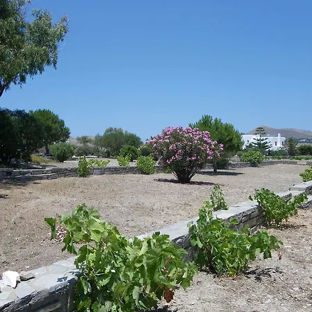 Alkionides Apartamento *